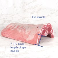 Meat Cut Spec Step 1